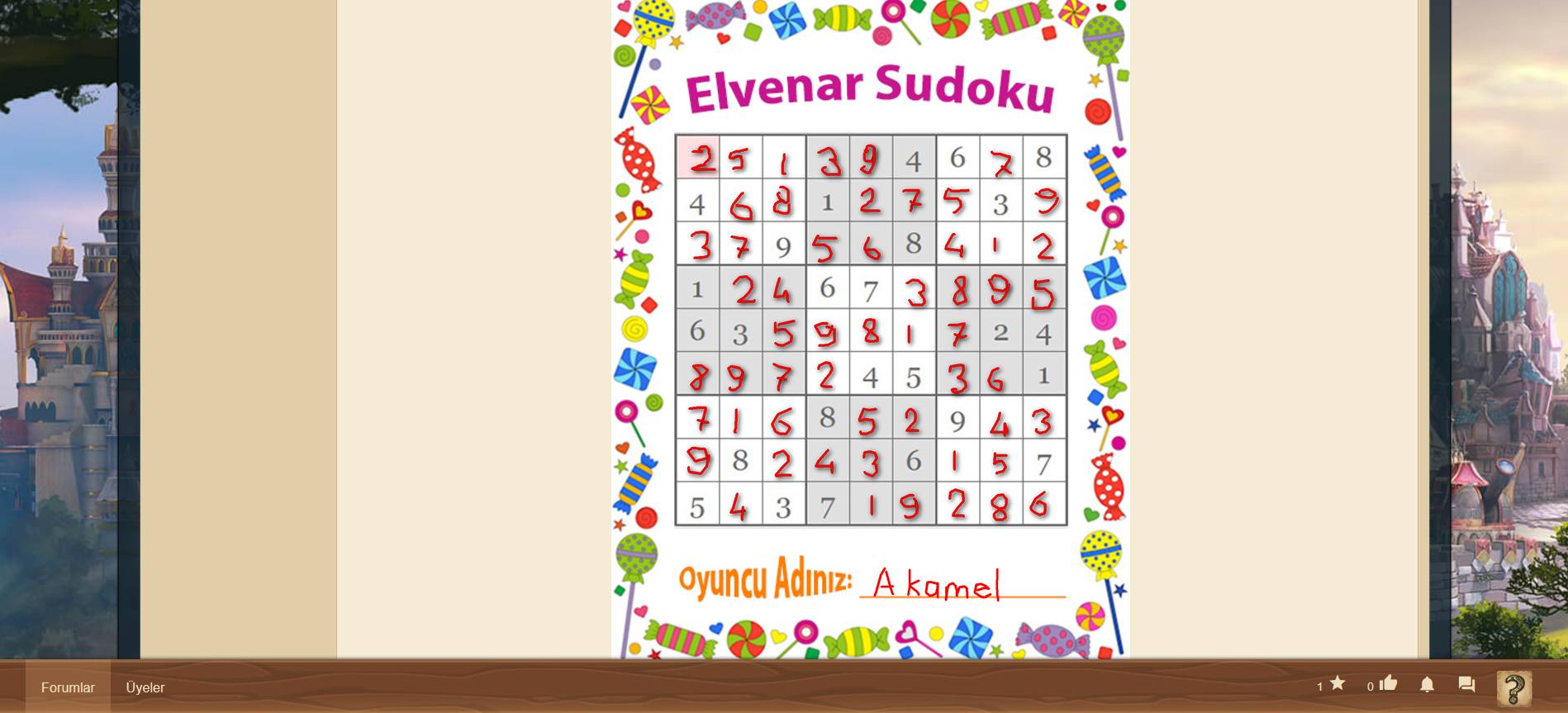 Sudoku Akamel.jpg